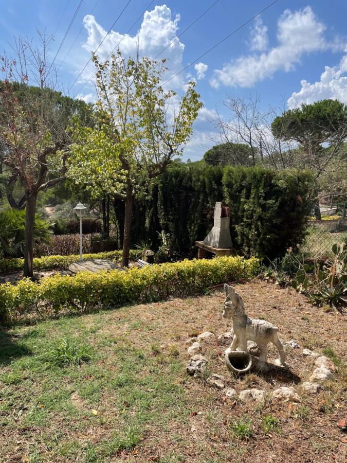 Villa Herlinda Costa Brava - With Swiming Pool Massanet De La Selva Esterno foto
